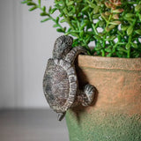 Ghedi Winston Tortoise Pot Hanger Natural (2pk) — SantoLusso®