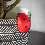 Ghedi Eve Ladybird Pot Hanger (2pk) — SantoLusso®