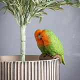 Ghedi Mr & Mrs Lovebird Pot Hanger (2pk) — SantoLusso®