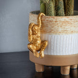 Ghedi Luis Orangutan Pot Hanger Gold (2pk) — SantoLusso®