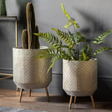 Ghedi Amelia Metal Planter Set of 2 — SantoLusso®
