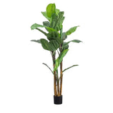 Ghedi Banana Palm Large — SantoLusso®