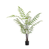 Ghedi Butterfly Fern Small — SantoLusso®