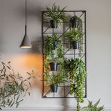 Ghedi Carlos Wall Planters x8 Black Small — SantoLusso®