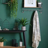 Ghedi Potted Asplenium Fern — SantoLusso®