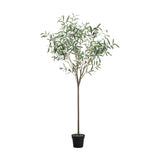 Ghedi Olive Tree Small Green — SantoLusso®