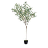 Ghedi Olive Tree Large Green — SantoLusso®
