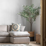 Ghedi Olive Tree Large Green — SantoLusso®