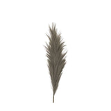 Ghedi Feathered Stem Grey 3pk — SantoLusso®