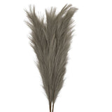 Ghedi Feathered Stem Grey 3pk — SantoLusso®