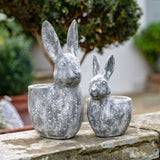 Ghedi Bunny Pot Large Distressed White — SantoLusso®