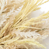 Ghedi Dry Grass Bouquet Large — SantoLusso®