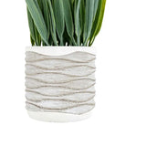 Ghedi Grass in Wavy Pot Small (2pk) — SantoLusso®