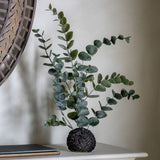 Ghedi Eucalyptus in Soil Dusky Green — SantoLusso®