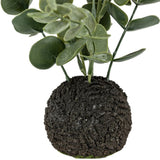 Ghedi Eucalyptus in Soil Dusky Green — SantoLusso®