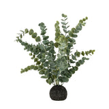 Ghedi Eucalyptus in Soil Grey Green — SantoLusso®