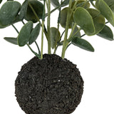 Ghedi Eucalyptus in Soil Grey Green — SantoLusso®