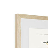 Bird Study 1B Heritage Lithograph Framed & Mounted Print - SantoLusso