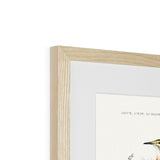 Bird Study 1C Heritage Lithograph Framed & Mounted Print - SantoLusso