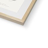 Bird Study 1C Heritage Lithograph Framed & Mounted Print - SantoLusso