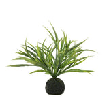 Ghedi Wild Grass in Soil Green — SantoLusso®