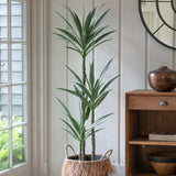 Ghedi Yucca Tree with 3 Heads — SantoLusso®