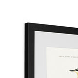 Bird Study 1B Heritage Lithograph Framed & Mounted Print - SantoLusso