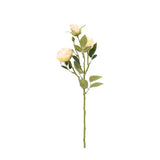 Ghedi Faux Stem Vintage Rose White 6pk — SantoLusso®