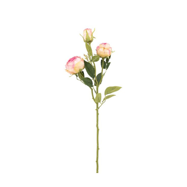 Ghedi Faux Stem Vintage Rose Pink 6pk — SantoLusso®