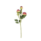 Ghedi Faux Stem Vintage Rose Claret 6pk — SantoLusso®