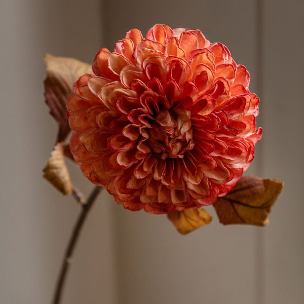 Ghedi Faux Stem Dahlia Orange 6pk — SantoLusso®