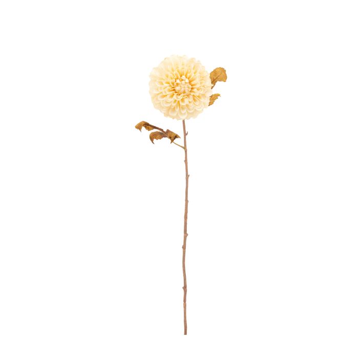 Ghedi Faux Stem Dahlia Ivory 6pk — SantoLusso®