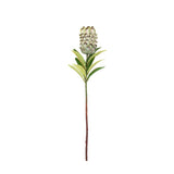 Ghedi Faux Stem Statement Tropical Green 12pk — SantoLusso®
