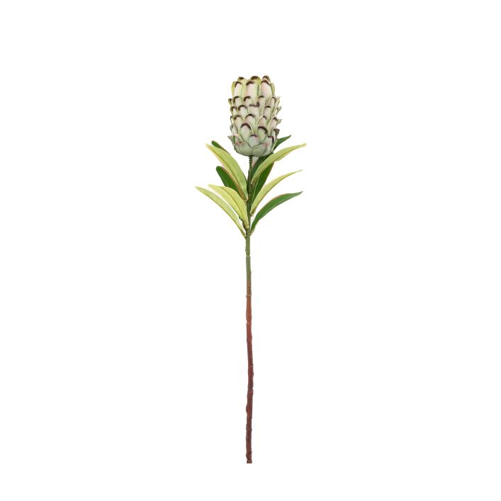 Ghedi Faux Stem Statement Tropical Green 12pk — SantoLusso®