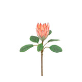 Ghedi Faux Stem Statement Tropical Apricot 12pk — SantoLusso®