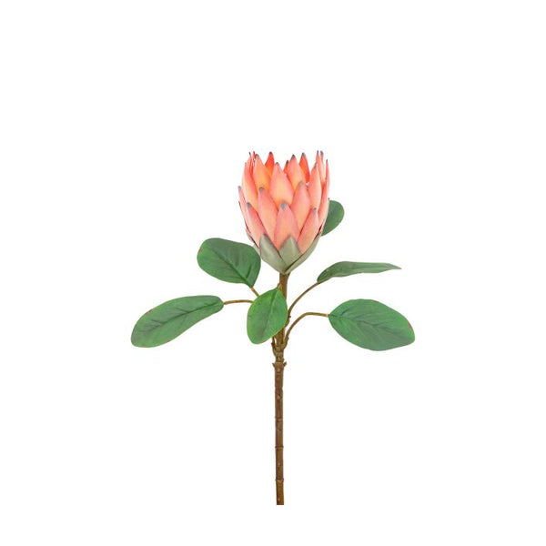Ghedi Faux Stem Statement Tropical Apricot 12pk — SantoLusso®
