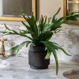 Ghedi Faux Playycerium Multi Colour in Ceramic Pot — SantoLusso®