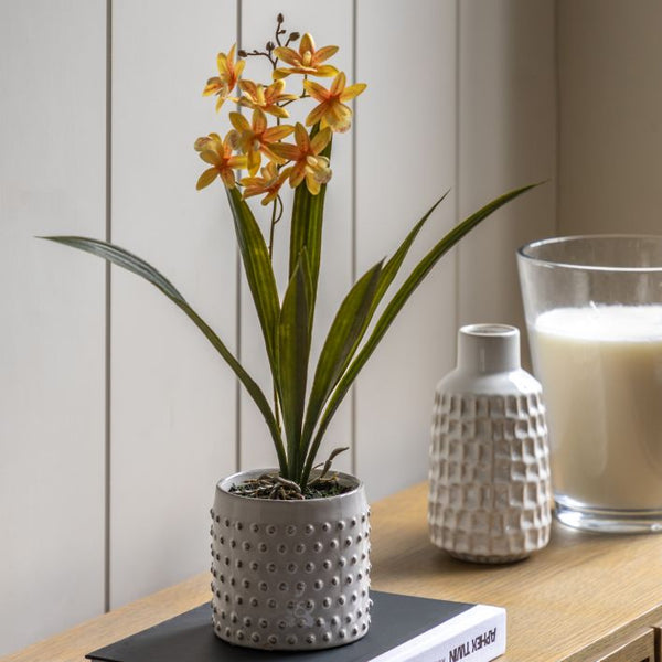 Ghedi Orchid Orange in White Ceramic Dot Pot — SantoLusso®