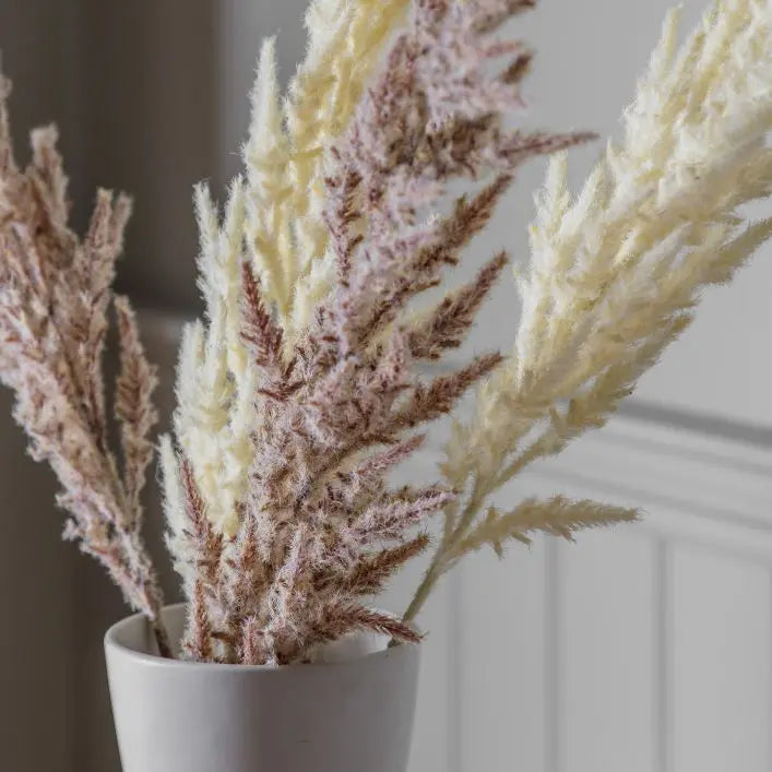 Ghedi Pampas Grass (3pk) Ivory — SantoLusso®