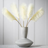 Ghedi Goma Soft Feather Stem Ivory (5pk) — SantoLusso®