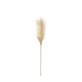 Ghedi Goma Soft Feather Stem Blush (5pk) — SantoLusso®