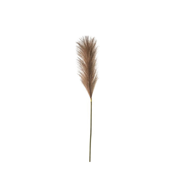 Ghedi Goma Soft Feather Stem Brown (5pk) — SantoLusso®