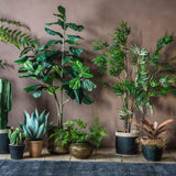 Ghedi Bamboo with 859 Leaves — SantoLusso®