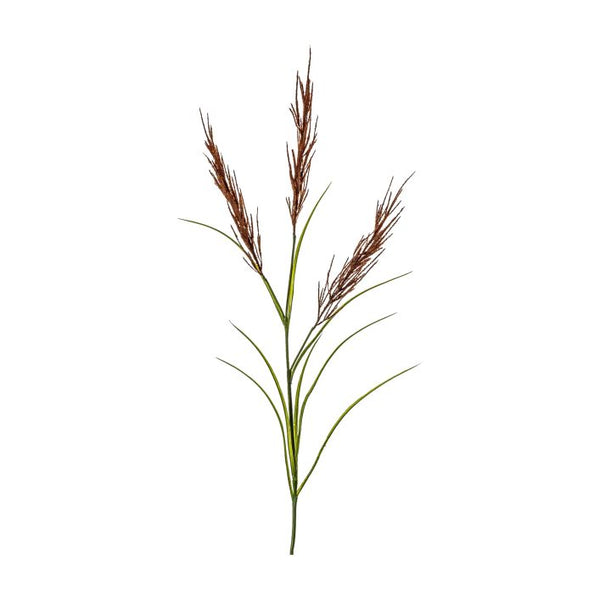 Ghedi Pampas Spray Russet/Green — SantoLusso®