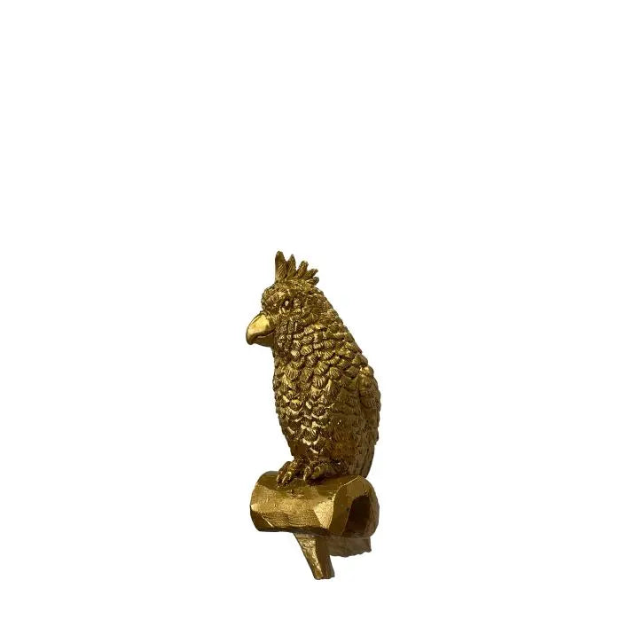 Ghedi Levi Parrot Pot Hanger Gold (2pk) — SantoLusso®