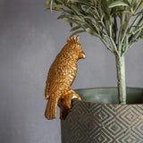 Ghedi Levi Parrot Pot Hanger Gold (2pk) — SantoLusso®