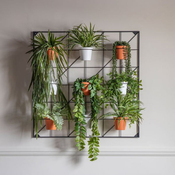 Ghedi Carlos Wall Planters x9 White & Terracotta Large — SantoLusso®