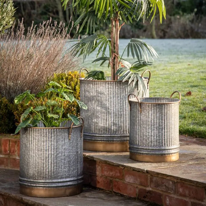 Ghedi Sylvie Planter (Set of 3) — SantoLusso®