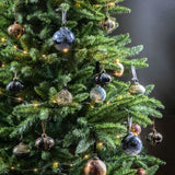 Ghedi Godiva Bauble Black/Gold Set of 6 — SantoLusso®