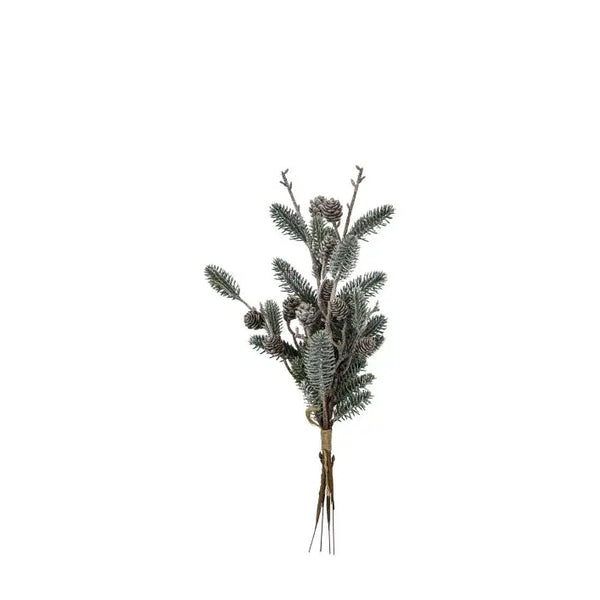 Ghedi Pine Bundle with Cones — SantoLusso®